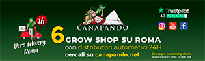 Canapando